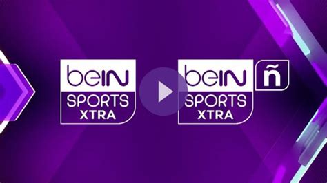 bein live net